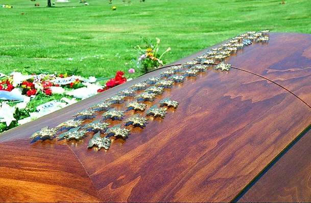 http://www.dvcplanners.com/monsoor1.jpg
